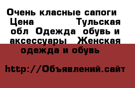 Очень класные сапоги › Цена ­ 10 000 - Тульская обл. Одежда, обувь и аксессуары » Женская одежда и обувь   